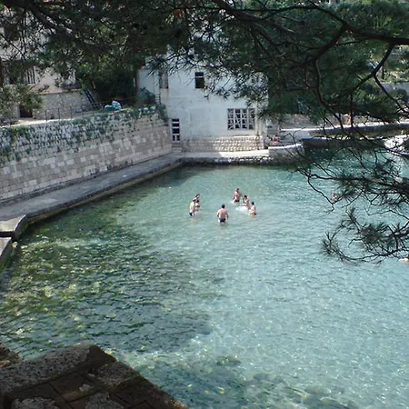Villa Apartment In Kolocep Dalmatia, Croatia