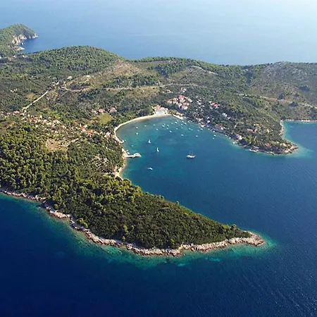 Villa Apartment In Kolocep Dalmatia, Croatia Villa Dubrovnik