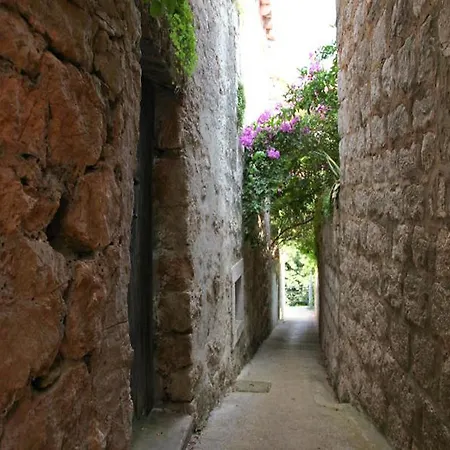Villa Villa Apartment In Kolocep Dalmatia, Croatia Dubrovnik